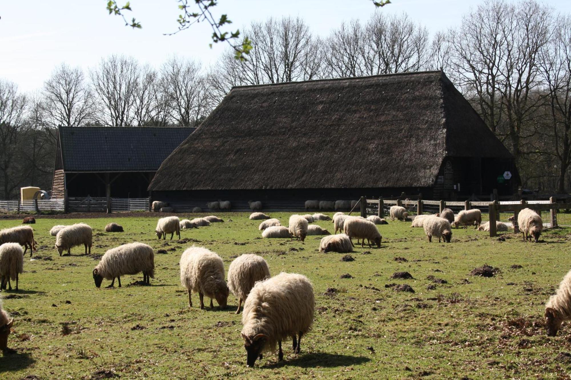 Herberg De Roskam Uffelte Extérieur photo